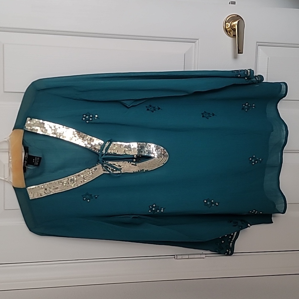 Embellished sheer tunic top.